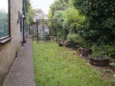 Picture 20